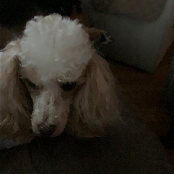 Meet your Posher, Andrew - Picture 1 of 1